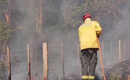 Período atípico exige atenção contra riscos de queimadas, alerta bombeiros