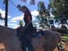 VÍDEO: Relação entre humanos e cavalos traz benefícios para o corpo e mente 