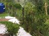 Chuva de granizo causa prejuízos em lavouras da região