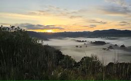 SC tem amanhecer com temperatura abaixo de 3°C nesta terça-feira