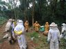 Encontro aborda o melhoramento genético de abelhas em Iporã do Oeste