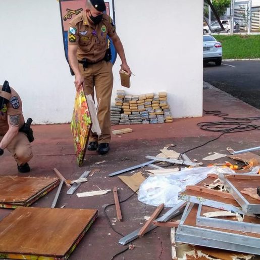 Polícia Militar apreende 250 tabletes de maconha em ônibus