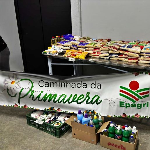 Caminhada da Primavera arrecada mais de 500 quilos de donativos em SMO