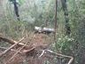 Caminhão sem freio desce ribanceira e quase cai em rio em Tunápolis