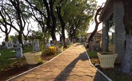 Funerária de São José do Cedro é condenada a indenizar família; entenda
