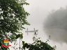 Polícia Ambiental flagra pesca ilegal no Extremo Oeste