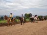 Cavalgada da Chama Crioula reúne mais de 50 participantes