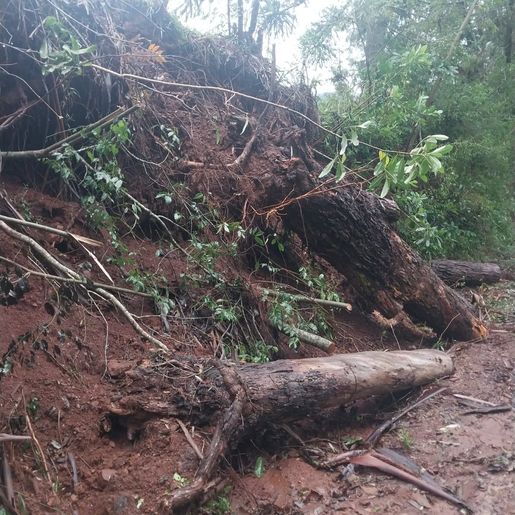 Defesa Civil faz levantamento dos estragos causados pelas chuvas em Campo Erê