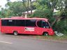 Árvores na pista causam acidentes na SC 163