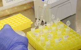 Chapecó registra o primeiro caso de Coronavírus do Oeste