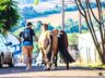 Começa 22º São Miguel Tchê no parque de exposições; fotos
