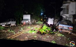Fortes ventos e chuva causam transtornos em Itapiranga