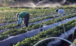 Ministérios assinam acordo para impulsionar agricultura familiar