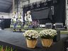 Kerbfest 2022: conheça as novas soberanas de Iporã do Oeste