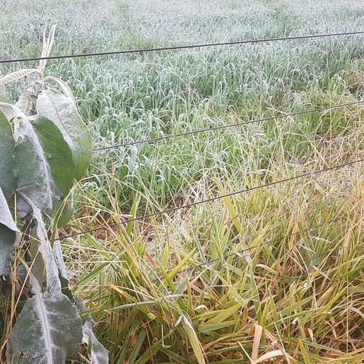 Município registra dia mais frio do ano