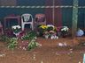Comunidade faz celebração em homenagem às vítimas da chacina em Campo Erê