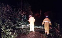Fortes ventos e chuva causam transtornos no interior de Campo Erê