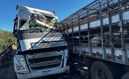 Acidente grave entre caminhões deixa dois feridos na BR-282