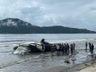Cai avião de pequeno porte em Ubatuba (SP)