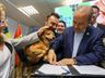 SC quer castrar 90 mil cães e gatos até 2026 com programa de R$ 18 milhões