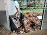 Moradora escapa pela janela após muro cair na casa dela em Maravilha