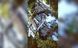 Peixes aparecem mortos em rio que abastece Belmonte e Descanso