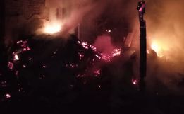 Vídeo: Suínos morrem queimados após galpão ser atingido por incêndio no interior de Mondaí