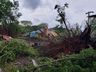 Vídeo: Comunidade se mobiliza para limpeza de estragos causados pelo temporal em Belmonte