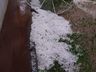 Chuva de granizo causa prejuízos em lavouras da região