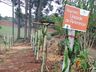 Aluno egresso da Casa Familiar Rural tem projeto aprovado em Feira Nacional e avança de etapa