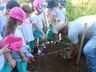 Alunos fazem visita ao Lago Municipal e participam de plantio de árvores em Cedro
