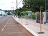 Prefeitura de SJCedro trabalha no plantio de árvores