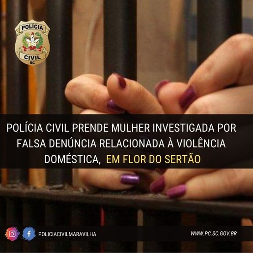 PC prende mulher investigada por falsa denúncia de violência doméstica 