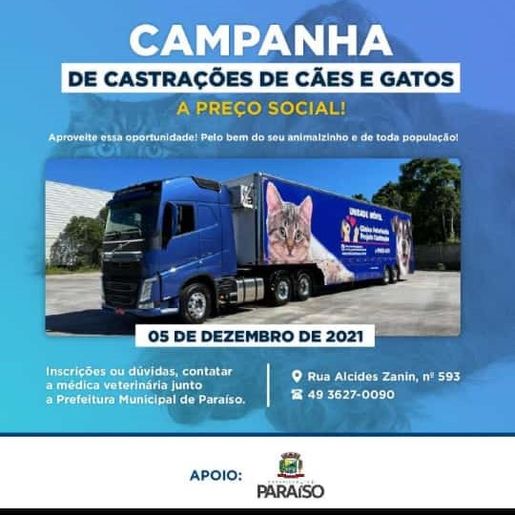 Mutirão de castração de cães e gatos abre mais de 100 vagas em Paraíso 