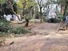 Urbanismo intensifica ações na praça Walnir Bottaro Daniel