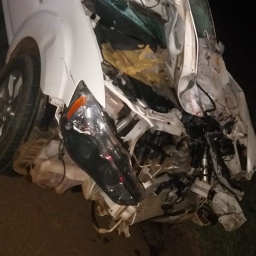 Carro colide em animal na SC-480, motorista fica ferido e boi morto