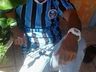Seguem buscas por homem desaparecido em São José do Cedro