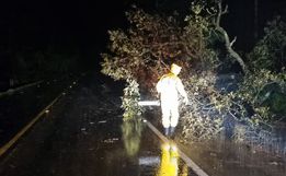 Vendaval atinge interior de Descanso e mobiliza bombeiros para entrega de lonas