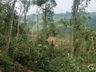 Ventos fortes causam grande destruição no interior de Iporã do Oeste