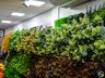 FOTOS: Multi Opções inaugura em São Miguel do Oeste