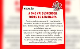 ONG Amigo Bicho suspende atividades em SMO por falta de recursos
