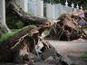 Rio Grande do Sul tem 49 municípios e 13 mil pessoas afetadas por temporal