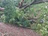 Temporal causa estragos em Itapiranga 