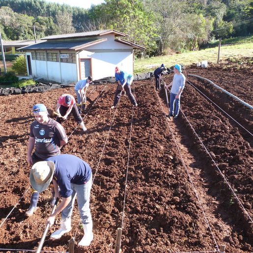 Faltam profissionais técnicos para atuar no mercado de trabalho agrícola