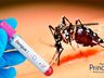 Confirmado o primeiro caso de dengue em Princesa em 2025