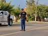 Cidasc e Polícia Civil apreendem bovinos e fecham abatedouro clandestino