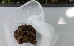 Polícia apreende maconha em duas residências em São José do Cedro