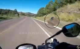 VÍDEO: Motociclista flagra acidente na BR-282 em Paraíso
