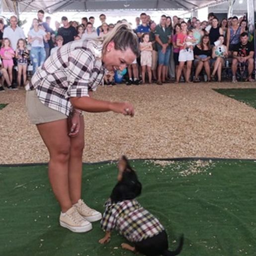 Desfile de cães tem presença de 20 animais na Efrait 2024