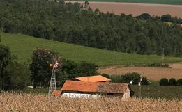 Três pessoas da mesma família são encontradas mortas em chácara